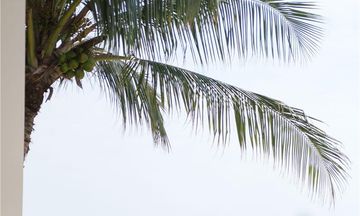 Al Baleed Resort Salalah by Anantara