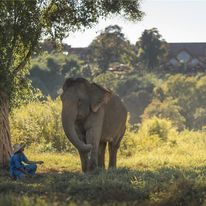 Anantara Golden Triangle Elephant Camp