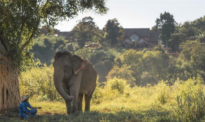 Anantara Golden Triangle Elephant Camp Exterior