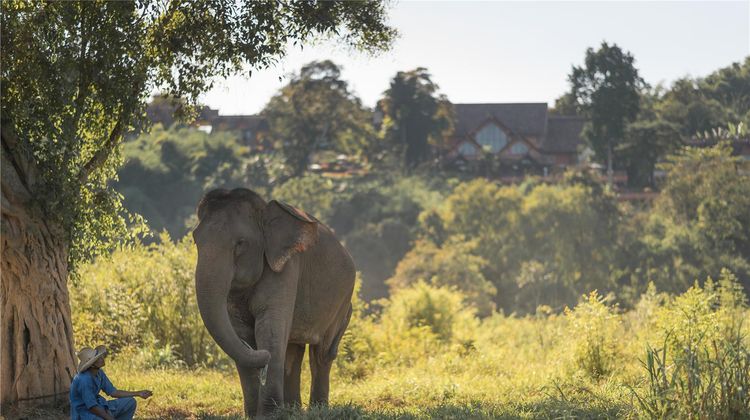Anantara Golden Triangle Elephant Camp Exterior
