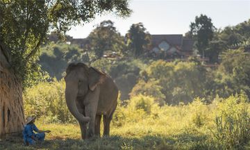 Anantara Golden Triangle Elephant Camp