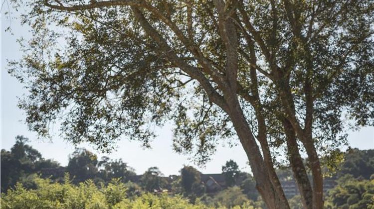 Anantara Golden Triangle Elephant Camp Exterior