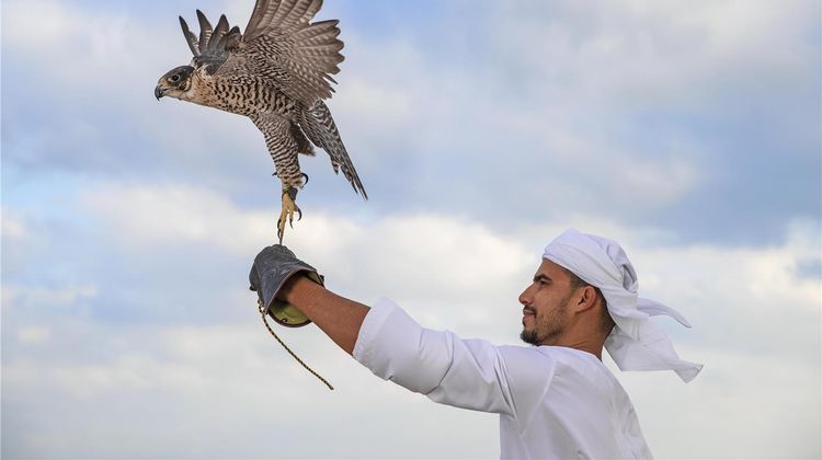 Anantara Al Sahel Villa Resort Recreation