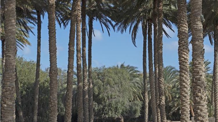 Anantara Al Sahel Villa Resort Recreation