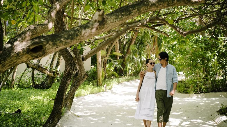 <b>Anantara Veli Maldives Resort Other</b>. Images powered by <a href="https://iceportal.shijigroup.com/" title="IcePortal" target="_blank">IcePortal</a>.