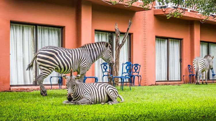 Avani Victoria Falls Resort Exterior