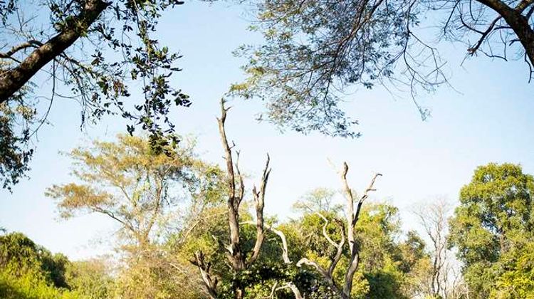 Avani Victoria Falls Resort Meeting