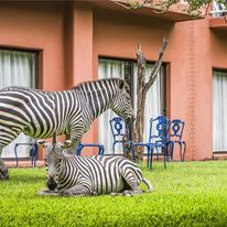 Avani Victoria Falls Resort