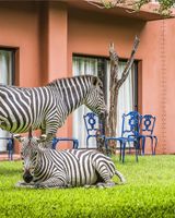 Avani Victoria Falls Resort