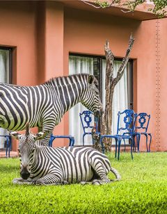 Avani Victoria Falls Resort