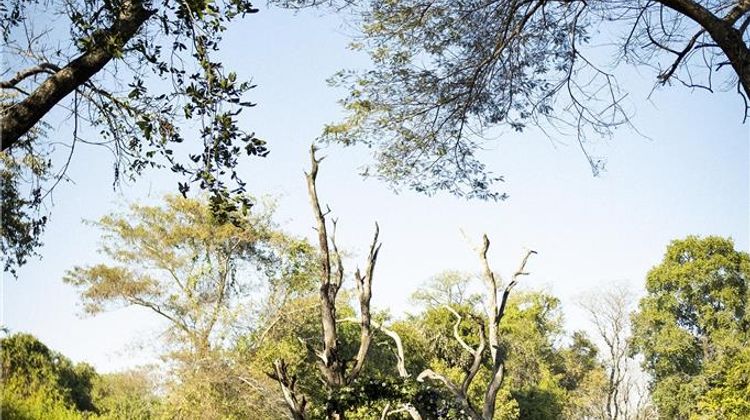 Avani Victoria Falls Resort Meeting