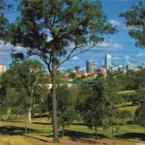 Oaks Brisbane Lexicon Suites