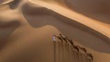 Qasr Al Sarab Desert Resort by Anantara Recreation
