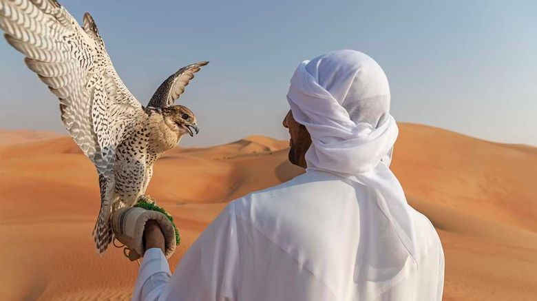 <b>Qasr Al Sarab Desert Resort by Anantara Recreation</b>. Images powered by <a href="https://iceportal.shijigroup.com/" title="IcePortal" target="_blank">IcePortal</a>.