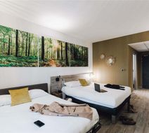 Ibis Styles Contres-Cheverny Room