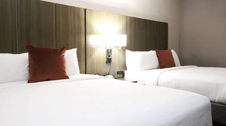 Wingate by Wyndham Ridgeland Room