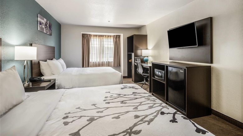 <b>Sleep Inn & Suites Room</b>. Images powered by <a href="https://iceportal.shijigroup.com/" title="IcePortal" target="_blank">IcePortal</a>.