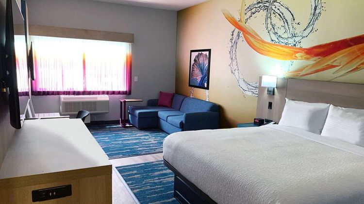 La Quinta Inn & Stes by Wyndham Seaworld Room