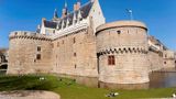 Cerise Nantes La Beaujoire Other
