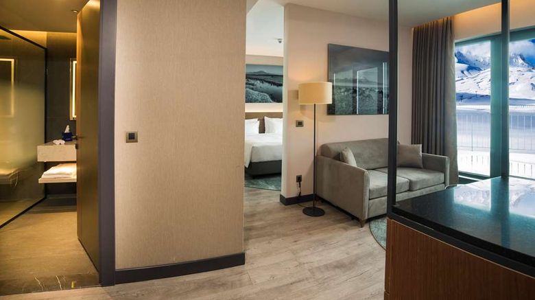 <b>Radisson Blu Hotel, Mount Erciyes Suite</b>. Images powered by <a href="https://iceportal.shijigroup.com/" title="IcePortal" target="_blank">IcePortal</a>.