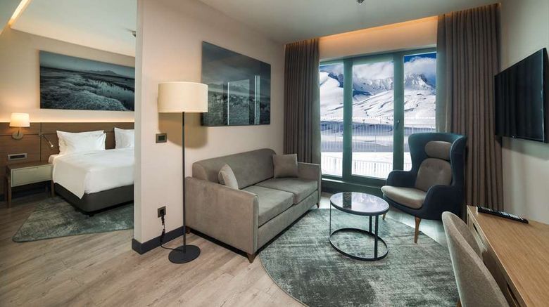 <b>Radisson Blu Hotel, Mount Erciyes Suite</b>. Images powered by <a href="https://iceportal.shijigroup.com/" title="IcePortal" target="_blank">IcePortal</a>.