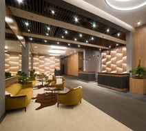 Radisson Blu Hotel, Mount Erciyes Lobby