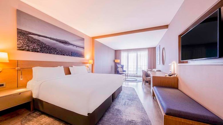 <b>Radisson Blu Hotel, Mount Erciyes Room</b>. Images powered by <a href="https://iceportal.shijigroup.com/" title="IcePortal" target="_blank">IcePortal</a>.