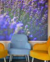 Mercure Medias Binderbubi Hotel & Spa