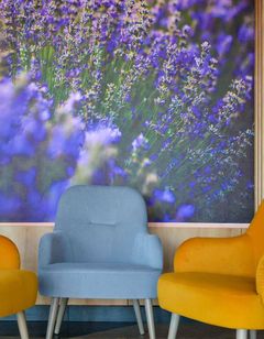 Mercure Medias Binderbubi Hotel & Spa