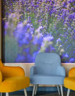 Mercure Medias Binderbubi Hotel & Spa