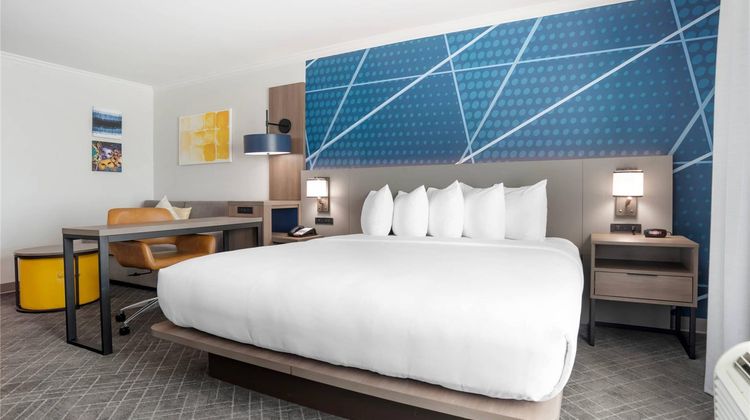 Comfort Inn & Suites Airport North Room