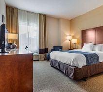 Comfort Inn Apalachin Room