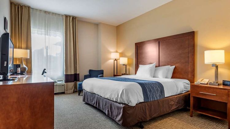 Comfort Inn Apalachin Room