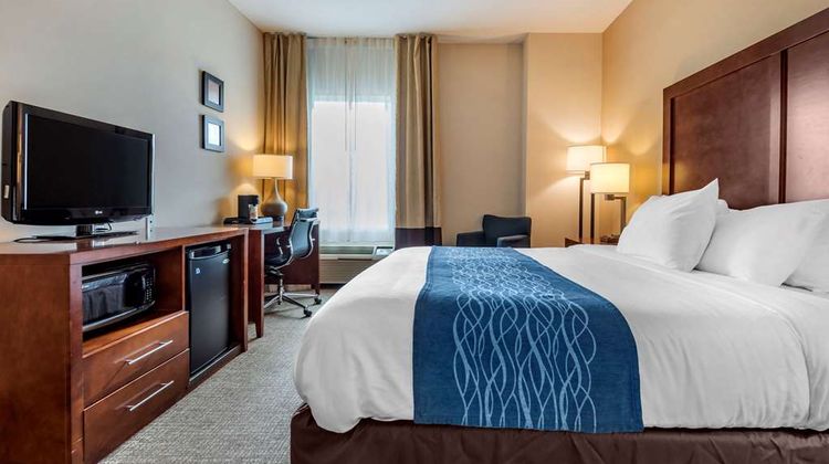 Comfort Inn Apalachin Room