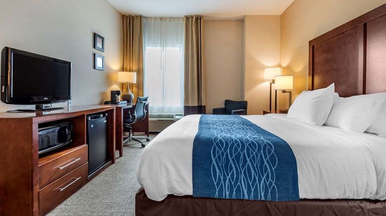<b>Comfort Inn Apalachin Room</b>. Images powered by <a href="https://iceportal.shijigroup.com/" title="IcePortal" target="_blank">IcePortal</a>.