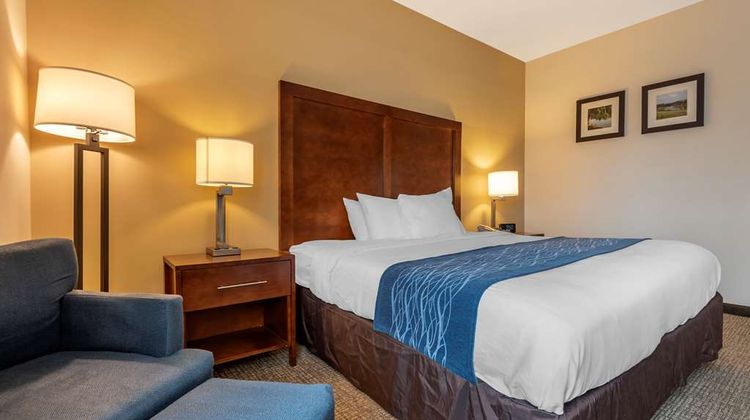 Comfort Inn Apalachin Room