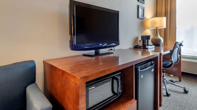 <b>Comfort Inn Apalachin Room</b>. Images powered by <a href="https://iceportal.shijigroup.com/" title="IcePortal" target="_blank">IcePortal</a>.