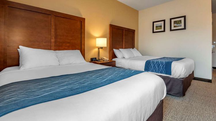 Comfort Inn Apalachin Room
