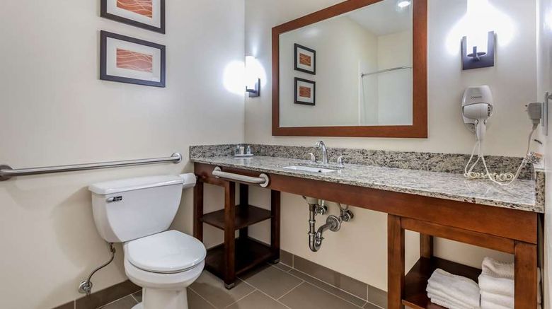 <b>Comfort Inn Apalachin Room</b>. Images powered by <a href="https://iceportal.shijigroup.com/" title="IcePortal" target="_blank">IcePortal</a>.