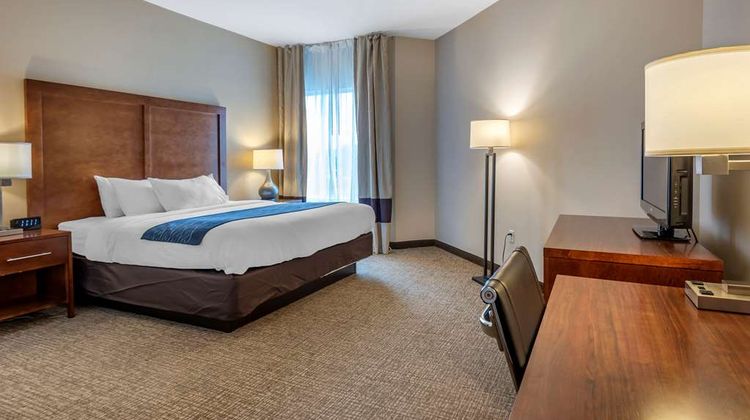 Comfort Inn Apalachin Room