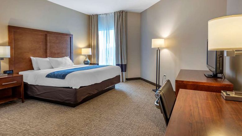 <b>Comfort Inn Apalachin Room</b>. Images powered by <a href="https://iceportal.shijigroup.com/" title="IcePortal" target="_blank">IcePortal</a>.