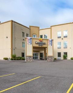 Comfort Inn Apalachin