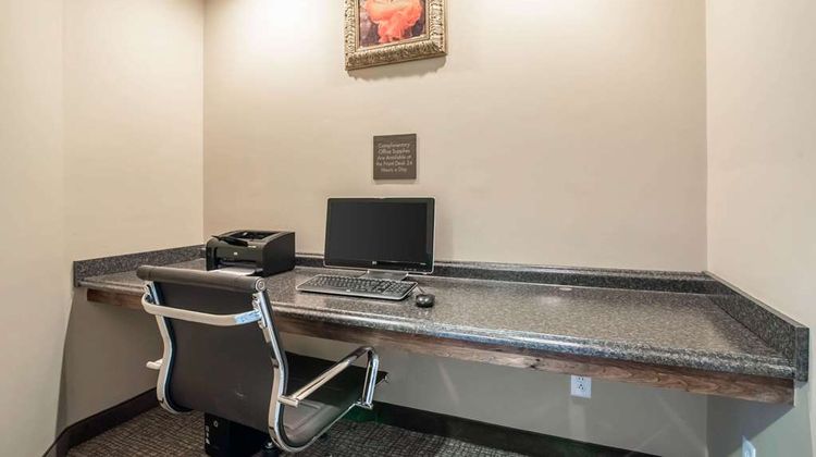 Comfort Inn Apalachin Other