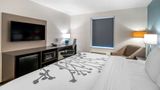 <b>Sleep Inn Georgetown Room</b>. Images powered by <a href="https://iceportal.shijigroup.com/" title="IcePortal" target="_blank">IcePortal</a>.