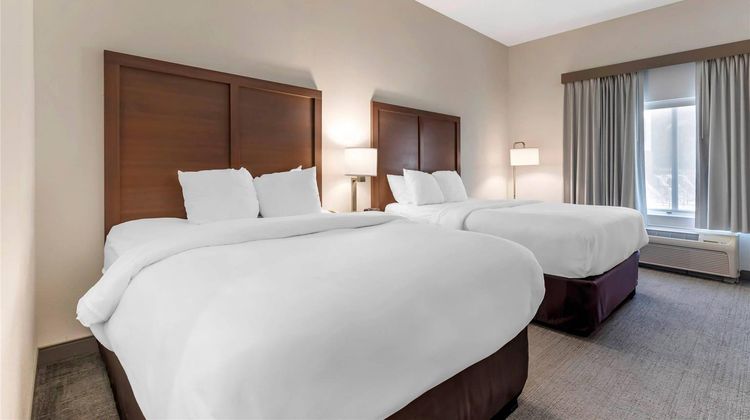 Comfort Inn and Suites Chestertown Room