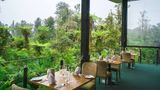 Te Waonui Forest Retreat Restaurant