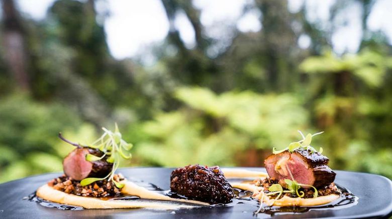 <b>Te Waonui Forest Retreat Other</b>. Images powered by <a href="https://iceportal.shijigroup.com/" title="IcePortal" target="_blank">IcePortal</a>.