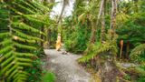 Te Waonui Forest Retreat Exterior