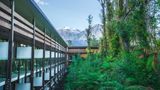 Te Waonui Forest Retreat Exterior