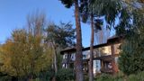 Design Suites Hotel, Bariloche Pool